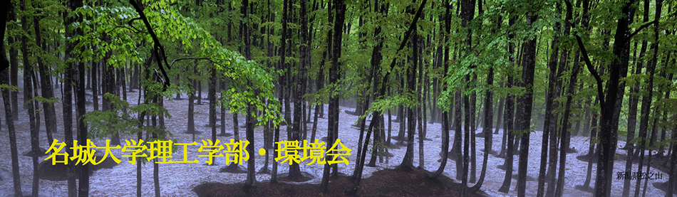 �����w���� ���C���r�W���A��